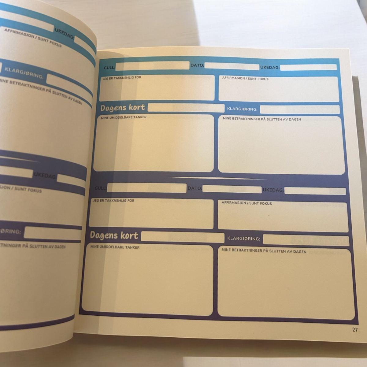 Orakeljournal Tidløs