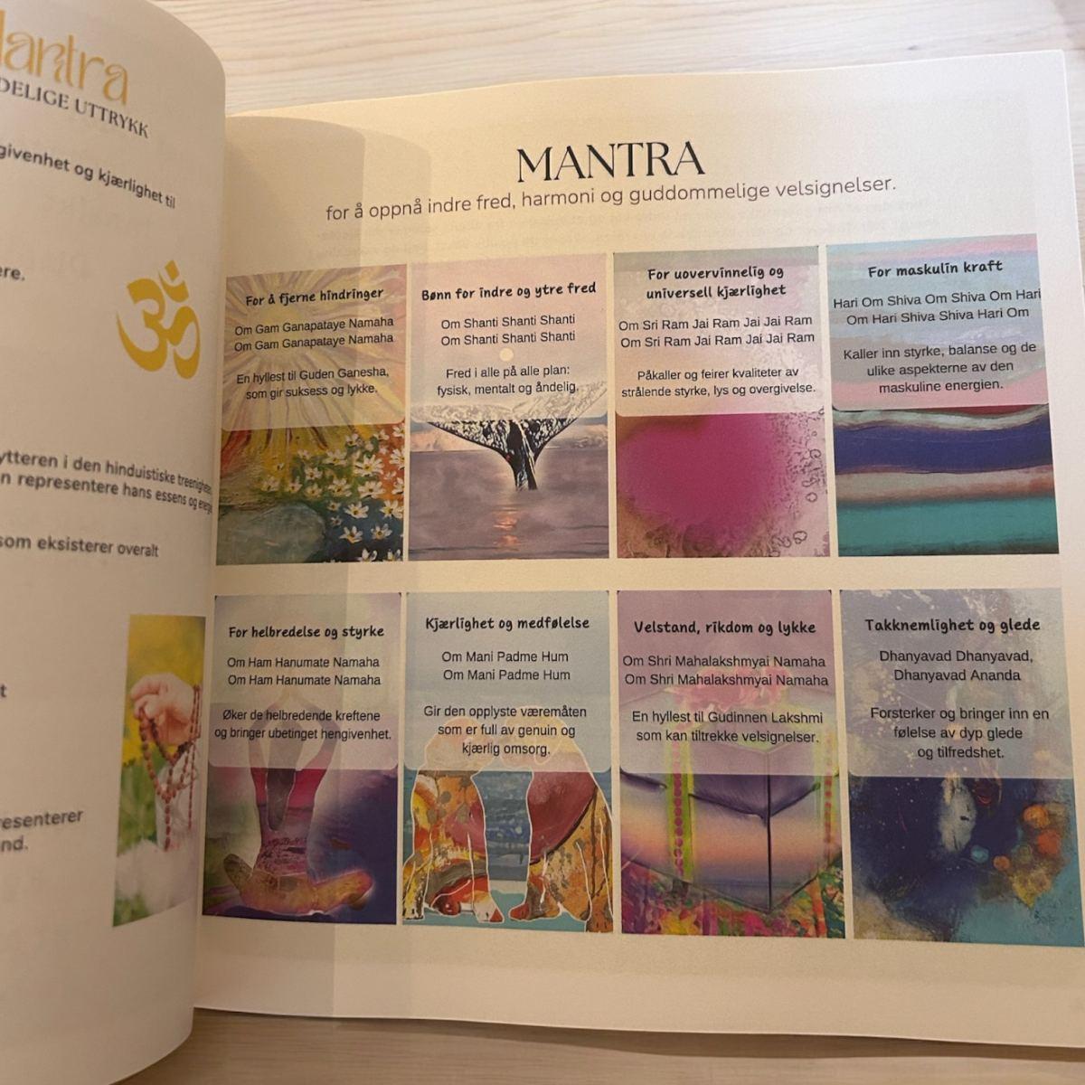 Orakeljournal Tidløs