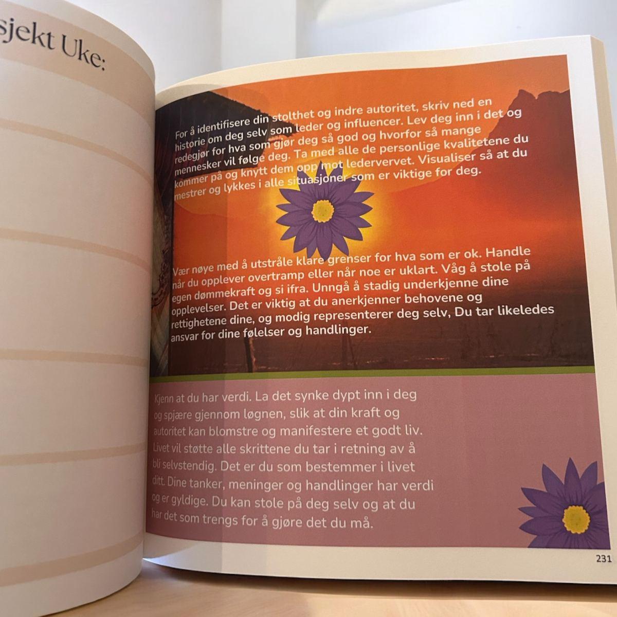 Orakeljournal Tidløs