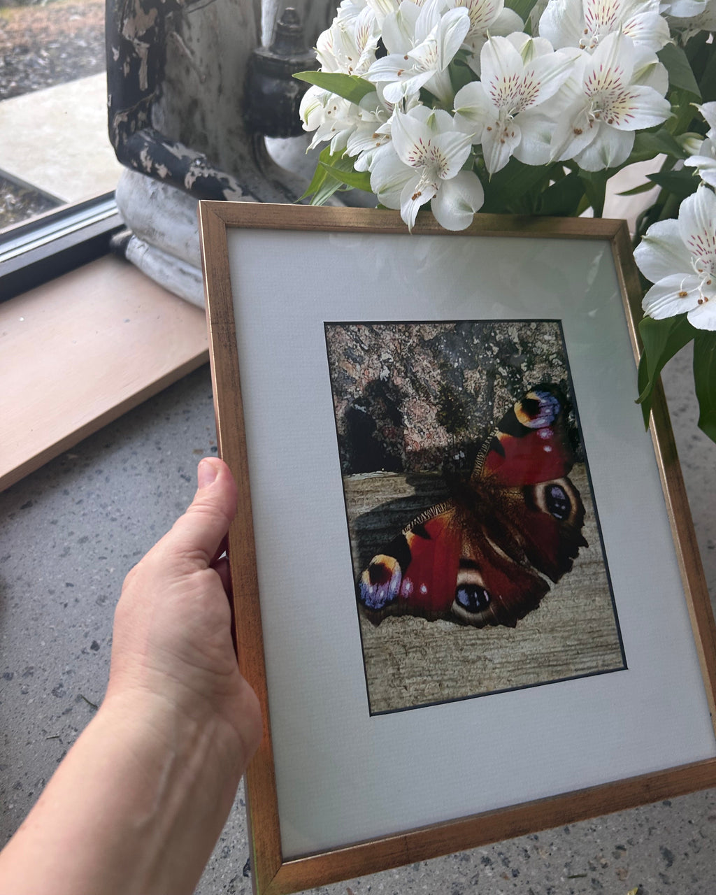 Pakke med fire vakre bilder fra Hjerte til Hjerte