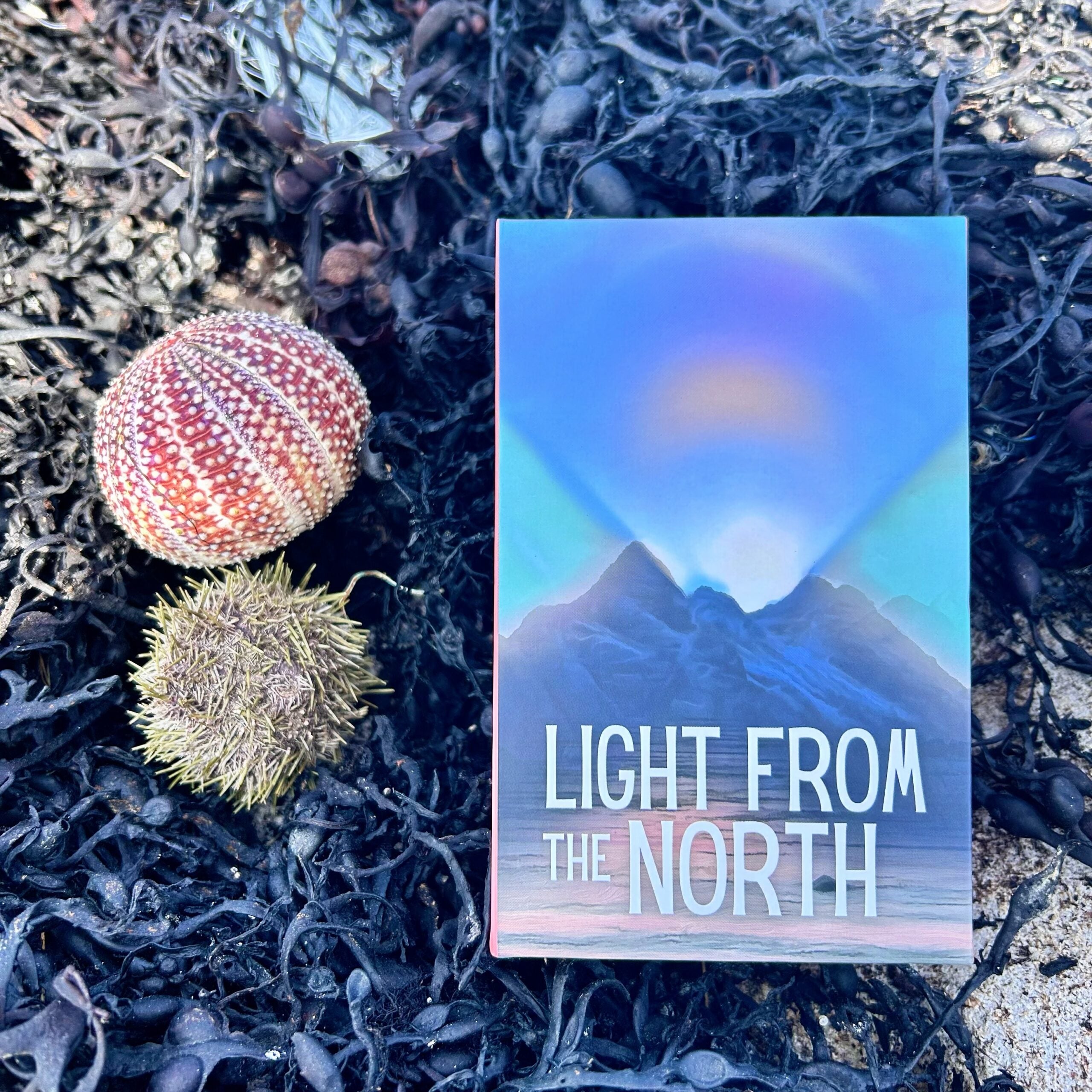 Light from the North