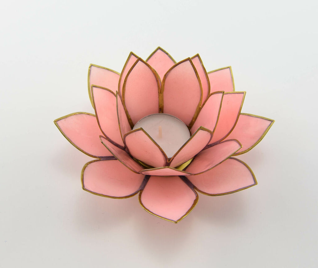 Lotus lysestake Matt rosa