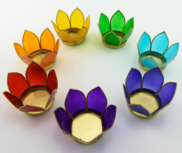 Chakra Lotuslys